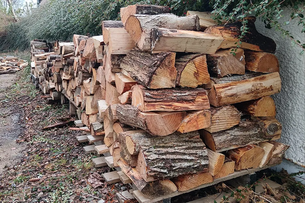 Stacked firewood logs